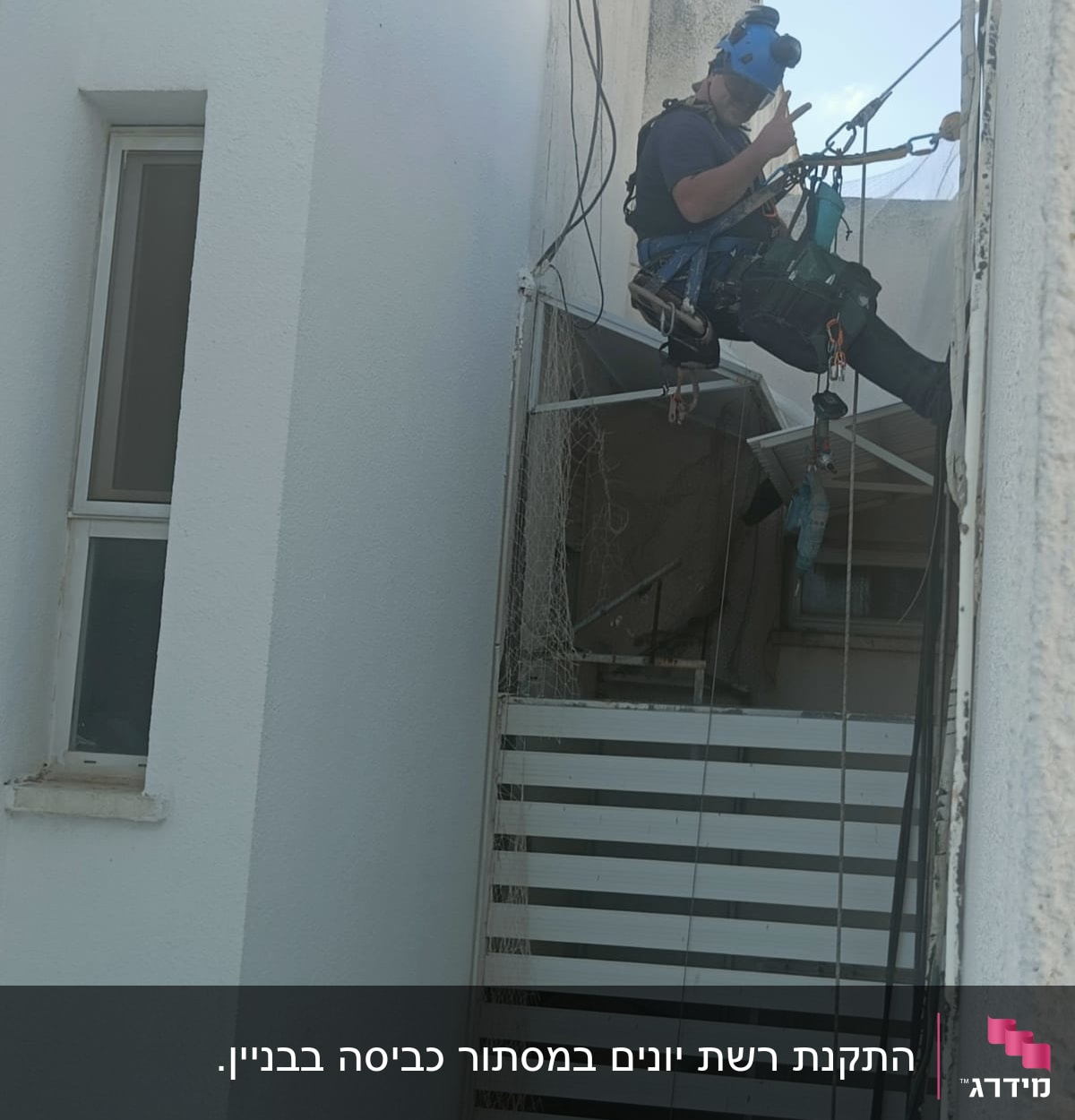 אדם עם קסדה בציוד סנפלינג מסיר רשת יונים
